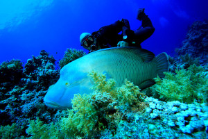 unterwasser Maldivas