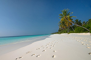 safari de buceo  Maldivas,