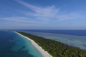 diving maldives liveaboard