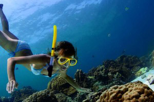 Maldives scuba diving 