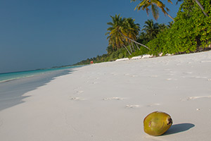 Malediven inselwelt